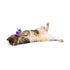 Huxley & Kent Flinger Butterfly Cat Toy