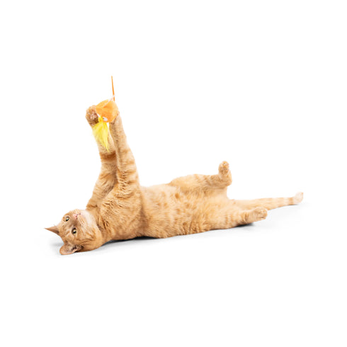 Huxley & Kent Flinger Cat Toy