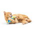 Huxley & Kent Nipper Parakeet Cat Toy