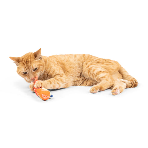Huxley & Kent Nipper Parrot Cat Toy