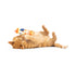 Huxley & Kent Nipper Parrot Cat Toy