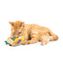 Huxley & Kent Nipper Toucan Cat Toy