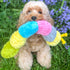 Patchwork Pet Pastel Caterpillar Plush Dog Toy - 35"