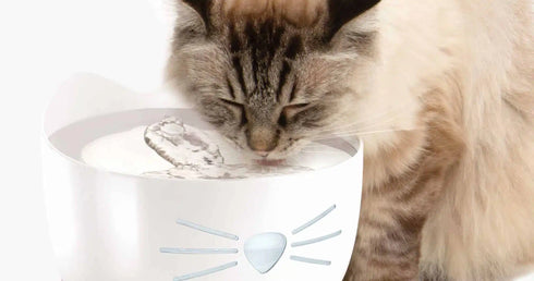 Catit Pixi Cat Water Fountain Stainless Steel Top