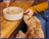 My Perfect Pet Charlie's Glycemic Friendly Gently Cooked Dog Food - Chicken - 4lb Bag