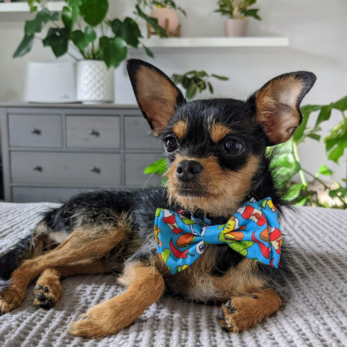 Huxley & Kent Bow Tie Large Cinco Fiesta