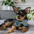 Huxley & Kent Bow Tie Large Cinco Fiesta