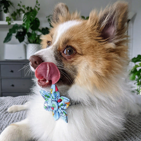 Huxley & Kent Pinwheel Small Cocktail Party