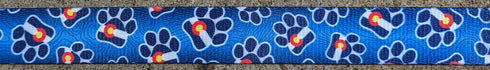 Mtn Straps Dog Leash - 6' - Colorado Paw