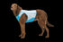 RuffWear Swamp Cooler Zip Cooling Dog Vest - LG - Biolumin Blue