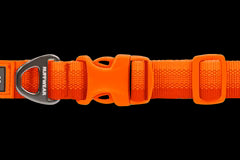 Ruffwear Front Range Dog Collar - 20-26" - Blaze Orange