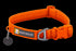 Ruffwear Front Range Dog Collar - 20-26" - Blaze Orange