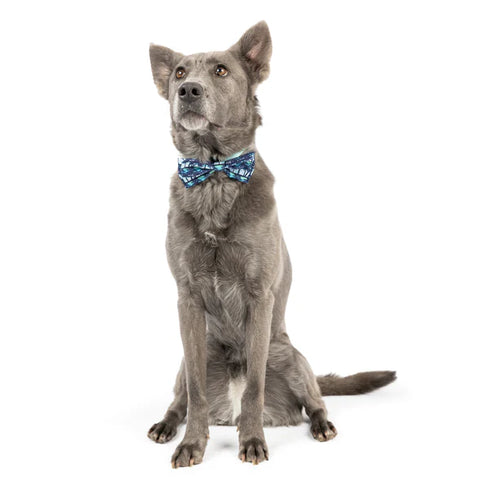 Huxley & Kent Pet Bow Tie - Small - Cool Breezes