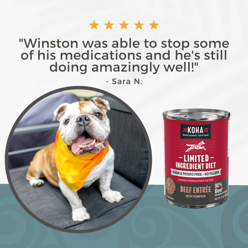 Koha Limited Ingredient Diet Wet Dog Food - Beef - 13oz Can