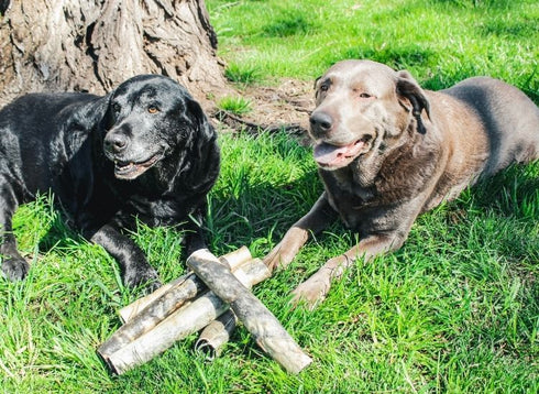 Bar46 Farms Beef Hide Rolls Dog Chew Treat - 12" - Single