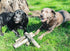 Bar46 Farms Beef Hide Rolls Dog Chew Treat - 12" - Single