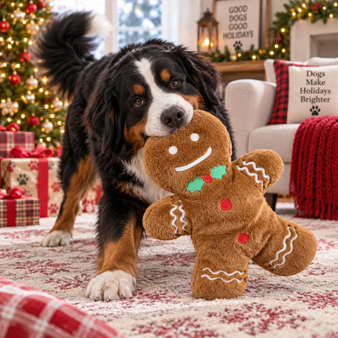 Petlou Christmas Cozy Gingerbread Man Dog Toy - 26"