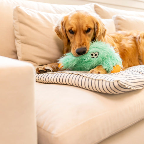 West Paw Rowdies Dog Toy - Helga - Melon