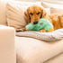West Paw Rowdies Dog Toy - Helga - Melon