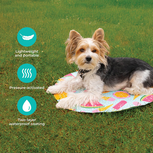 Shedrow K9 Cooling Mat - Large - Summer Fruit
