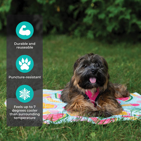 Shedrow K9 Cooling Mat - Large - Summer Fruit