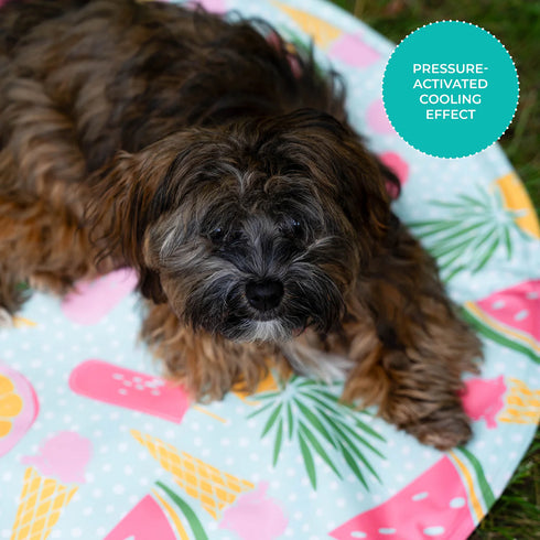 Shedrow K9 Cooling Mat - Large - Summer Fruit