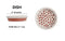 Petware Pottery Happy Spots Ceramic Pet Bowl - White/Terracotta - 8oz