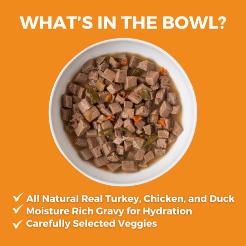 Koha Slow Cooked Stews Wet Dog Food - Big Easy Feast: Turkey, Chicken, & Duck - 12.7oz Can