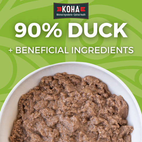 Koha Limited Ingredient Diet Wet Dog Food - Duck - 13oz Can