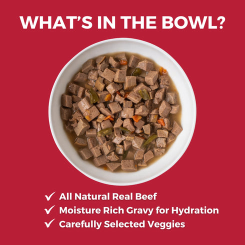 Koha Slow Cooked Stews Wet Dog Food - Lone Star Brisket: Beef - 12.7oz Can