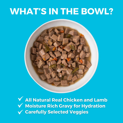 Koha Slow Cooked Stews Wet Dog Food - Greek Island Grill: Chicken & Lamb - 12.7oz Can