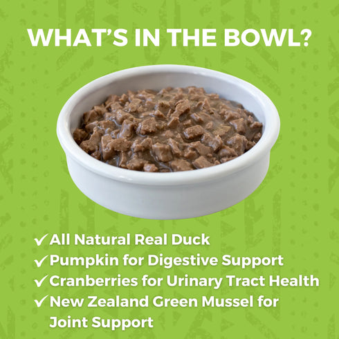 Koha Minimal Ingredient Stew Wet Cat Food - Duck Stew - 5.5oz Can