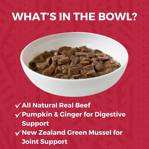 Koha Minimal Ingredient Stews Wet Dog Food - Beef - 12.7oz Can