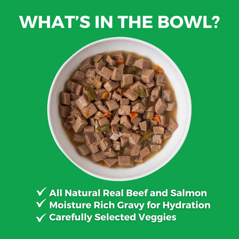 Koha Slow Cooked Stews Wet Dog Food - Pike Place Platter - Beef & Salmon - 12.7oz Can