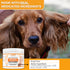 Nootie Medicated Ear Wipes For Dogs & Cats - 80ct