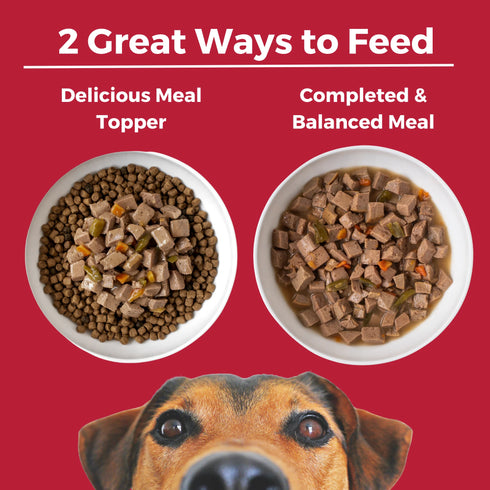 Koha Slow Cooked Stews Wet Dog Food - Lone Star Brisket: Beef - 12.7oz Can