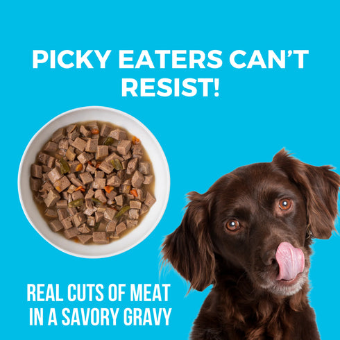 Koha Slow Cooked Stews Wet Dog Food - Greek Island Grill: Chicken & Lamb - 12.7oz Can