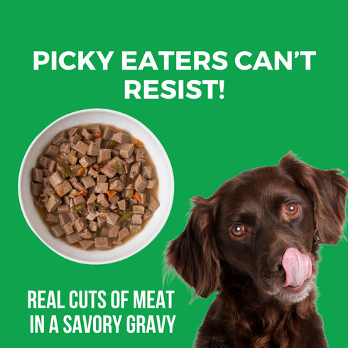 Koha Slow Cooked Stews Wet Dog Food - Pike Place Platter - Beef & Salmon - 12.7oz Can