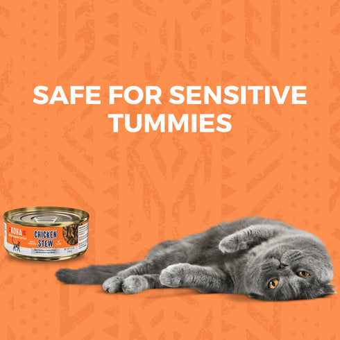 Koha Minimal Ingredient Stew Wet Cat Food - Chicken Stew - 5.5oz Can