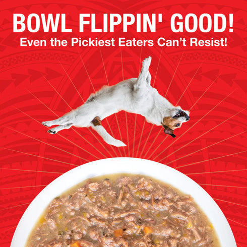 Koha Pure Shreds Wet Dog Food - Beef - 12.5oz Can