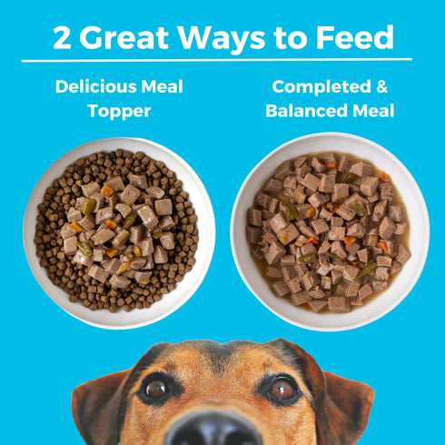 Koha Slow Cooked Stews Wet Dog Food - Greek Island Grill: Chicken & Lamb - 12.7oz Can