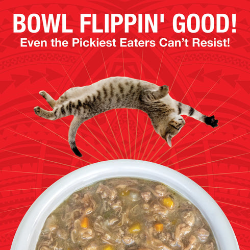 Koha Grain Free Pure Shreds Wet Cat Food - Shredded Beef - 5.5oz Can