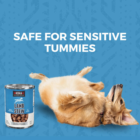 Koha Minimal Ingredient Stews Wet Dog Food - Lamb - 12.7oz Can