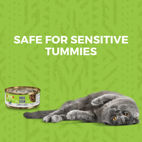 Koha Minimal Ingredient Stew Wet Cat Food - Duck Stew - 5.5oz Can