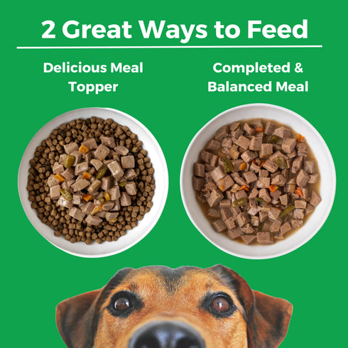 Koha Slow Cooked Stews Wet Dog Food - Pike Place Platter - Beef & Salmon - 12.7oz Can