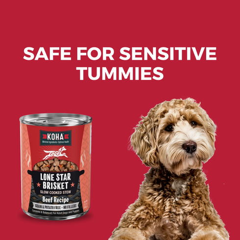 Koha Slow Cooked Stews Wet Dog Food - Lone Star Brisket: Beef - 12.7oz Can