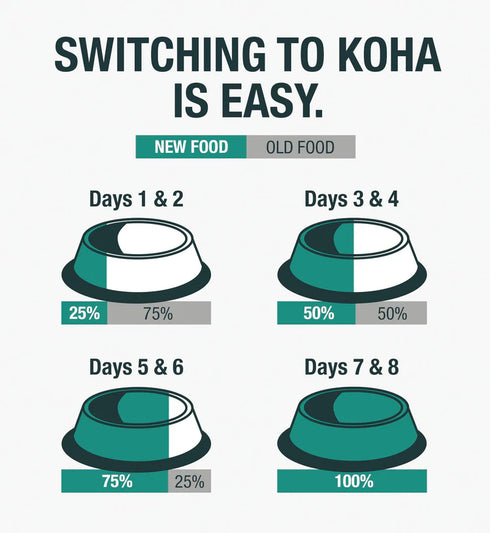 Koha Limited Ingredient Diet Wet Cat Food - Venison - 5.5oz Can