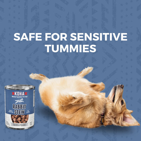 Koha Minimal Ingredient Stews Wet Dog Food - Rabbit - 12.7oz Can