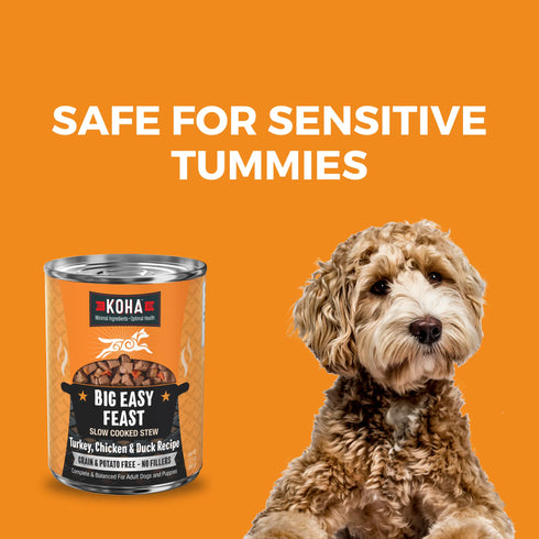 Koha Slow Cooked Stews Wet Dog Food - Big Easy Feast: Turkey, Chicken, & Duck - 12.7oz Can