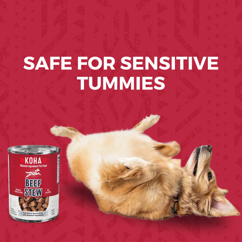 Koha Minimal Ingredient Stews Wet Dog Food - Beef - 12.7oz Can